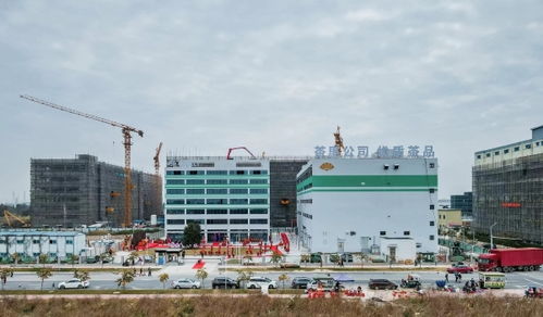 茶里集團南沙總部落成，推動高端袋泡茶標準化、工業化與科技化進程
